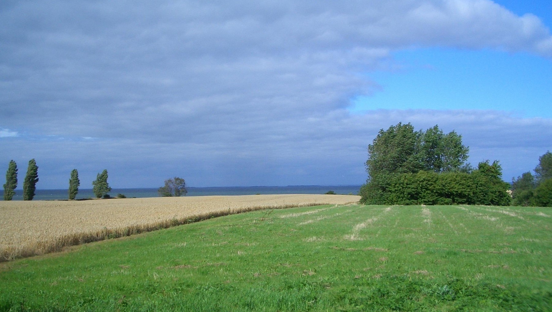 Így zöldítenek a dánok