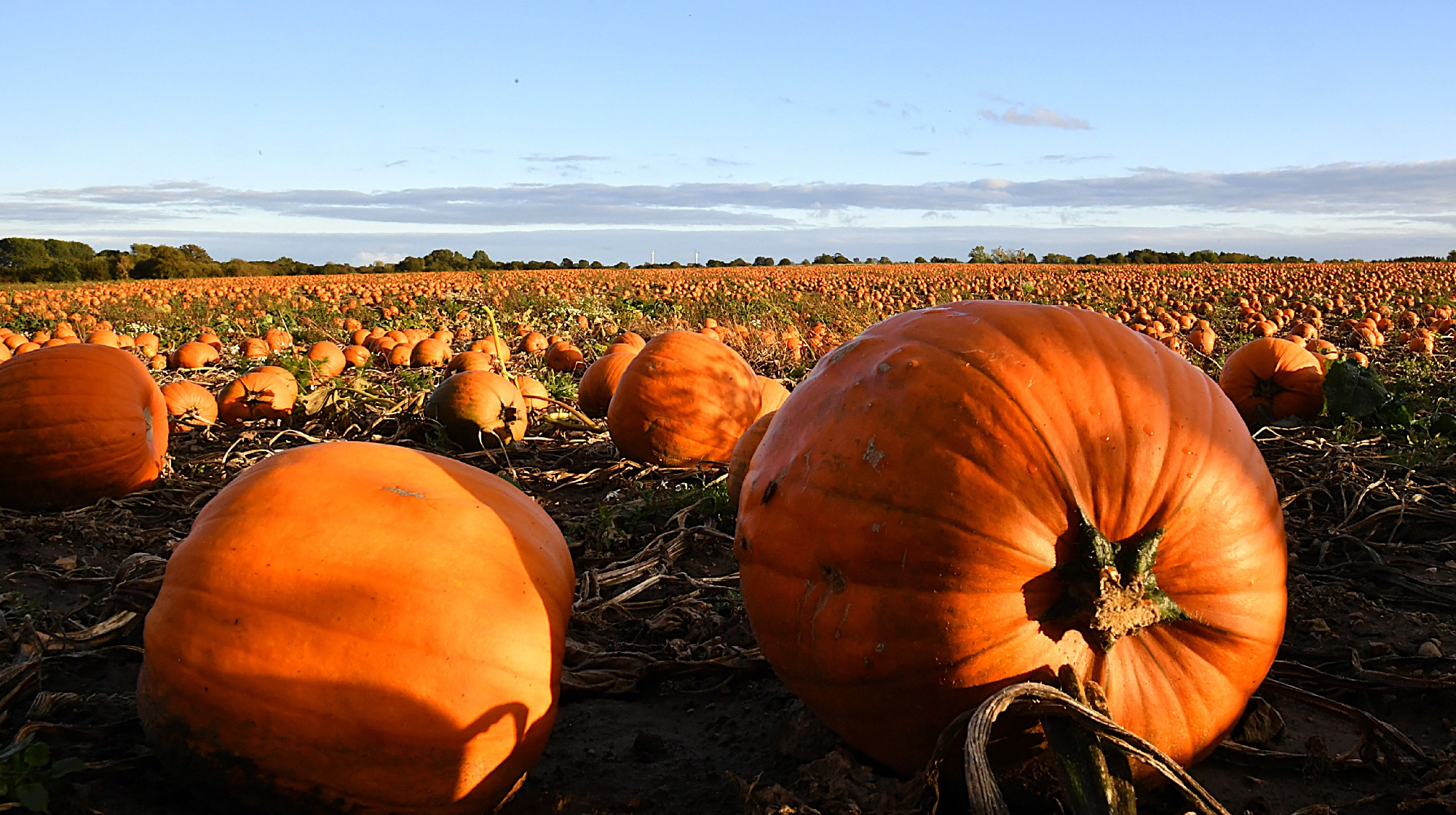 Ki van itt találva minden…
