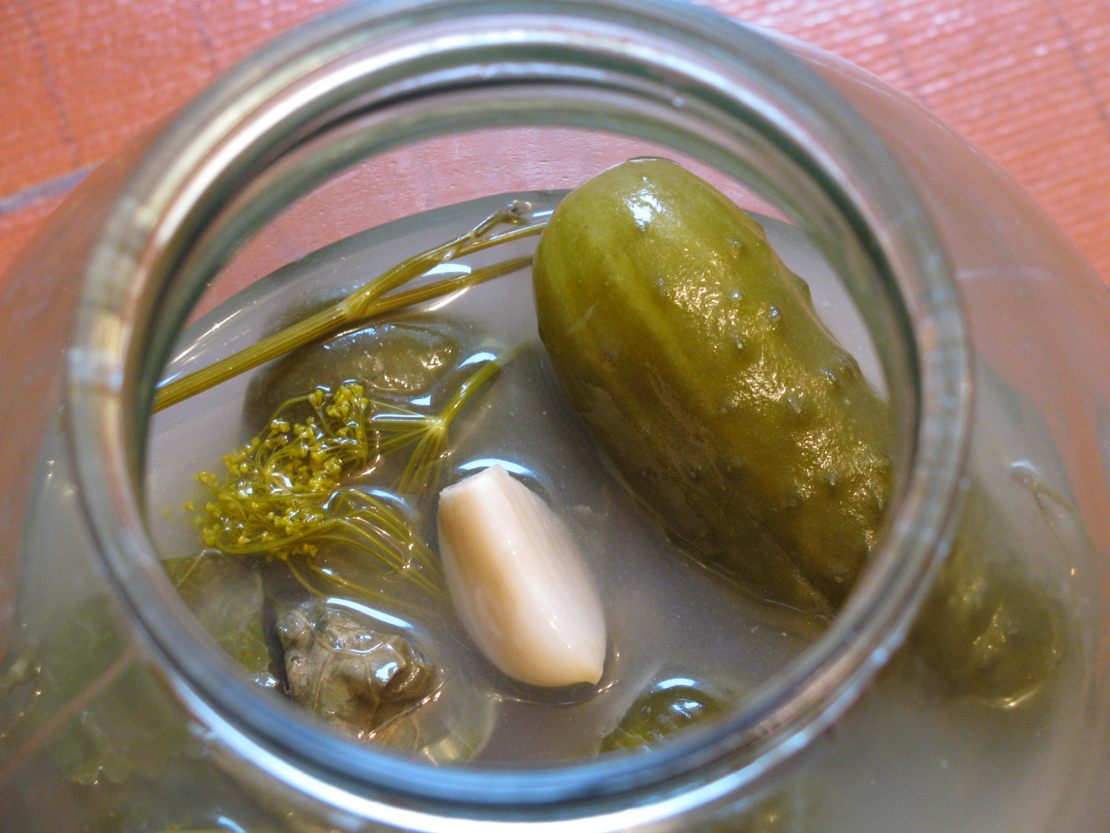 Kovászfölde rejtekin